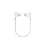 Insta360 Flow 2 Pro USB-C to Lightning Charge Cable