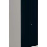 Interio by Godrej Slimline 2-Door Steel Almirah
