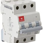 Havells DHMGCTPF010 PVC Plastic 10A MCB TP C Curve (White)