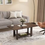 BLUEWUD Osnale Engineered Wood Rectangular Shape Coffee Center Sofa Tea/Teapoy Console Table for Living Room Home Hall (Brown Maple)