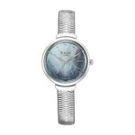 Titan Raga Viva Glam Plain 3 Hands Green Round Dial Silver A1Stainless Steel Strap Women’s Watch – NU2737SM01