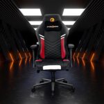 Nilkamal Fyrebird Ergonomic Gaming Chair with Adjustable Neck, Lumbar Pillow, 3D Adjustable Armrest, Gas Lift Mechanism, & 100mm Tilt (Vaden)