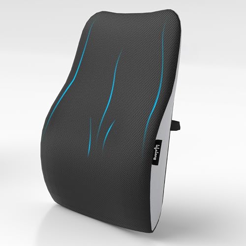 Lifelong Back Support Cushion for Office Chair & Car | Ergonomic Memory Foam Design for Better Posture, Reduced Fatigue, and Comfortable Sitting During Work or Travel