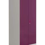Interio by Godrej Slimline 2-Door Steel Almirah