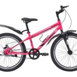 playR BFF Cycle 24 Inch – Fat Tyre Single Speed Bicycle with Front Wheel Suspension, Front & Rear Disc Brakes, Durable City & Outdoor Adventure Bike for Men & Women All Season