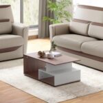 Interio by Godrej Coffee Table EWA Engineered Wood Coffee Table, 1-Year Warranty, Brown, Particle Board