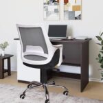 FUGO Plastic by Nice Goods Ergonomic Office Chair, Home Desk Office Chair, Revolving Chair with Tilting Mechanism, Computer Chair, Chair for Office Work at Home, Grey