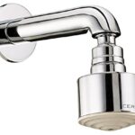 Cera F7020106 65 mm(2.5″) Stainless Steel Dia with revolving Arm(Suitable for Mist Range)