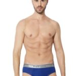 Van Heusen Cotton Men Anti Bacterial Briefs – Colour Fresh, 4 Way Stretch, Moisture Wicking_30001_Sodalite Blue_XL, X Large