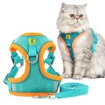 A+a Pets’ Suede Harness & Leash Set for Cats, Small Dogs | Escape Proof | Night Safety Reflective Strips | 2 Leash Points (M, Green)