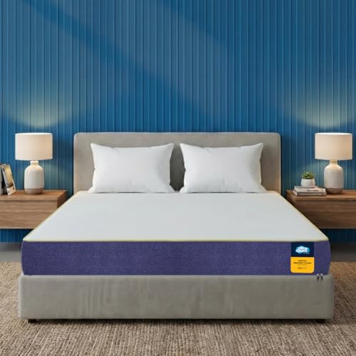 Centuary Mattresses Sleepables Orthopedic Memory Foam 5 Inch Back Support Mattress (78x42x5)
