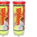 Wilson Championship Synthetic Tennis Balls|2 Can|6 Balls(3 Balls/Can) (Yellow)
