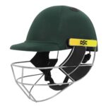 DSC Avenger PRO Premium Cricket Helmet for Men & Boys (Fixed Spring Steel Grill | Back Support Strap | Neck Guard |Lightweight| Size:Large (Green)