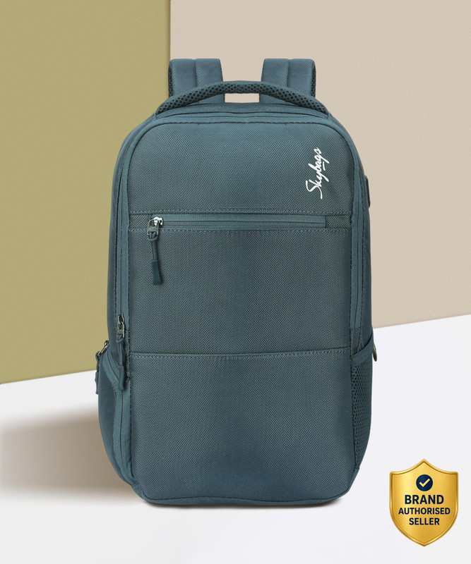 SKYBAGS Biz (E) 17 L Laptop Backpack(Grey)