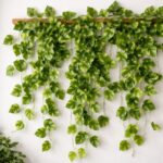 Akaar Polyester Artificial Plants Leaves Money Plant Greenery Hanging Vine Creeper Home Decor Door Wall Balcony Decoration Party Festival Craft(7.2Ft) – Pack Of 1