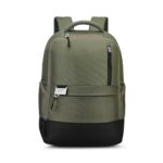 Skybags Nero 20L Laptop Backpack (Upto 15″), 2 Compartments, Green