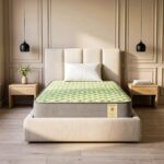 Shayan Dual Comfort Mattress | 6 inch Single Size | Reversible Design with Soft & Firm Sides | Superior HD Foam | Breathable Knitted Fabric | 72x36x6 Inches Green & Grey