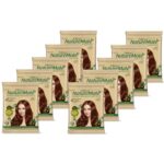 Nisha Nature Mate Natural Brown Henna Based Hair Color | Ammonia Free & No Resorcinol Hair Colour | Long Lasting Grey Coverage | Smooth, Silky & Shiny Hair | Salon-Like Results | 10g x 10 Packs