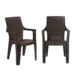 Nilkamal Mystique Plastic Chair with Armrest | Set of 2 | 3 Year Warranty | Heavy Duty Chair for Home, Living Room, Dining Room, Bedroom & Office | Stackable Polypropylene |Outdoor & Garden Use | SRB