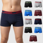 LUX cozi Brief For Boys(Multicolor Pack of 10)