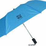 EUME Leatrix 21 Inch 2 Fold Auto-Open Umbrella(Blue, Black)