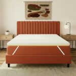 SleepyHug OrthoSoft Plus HR Foam Mattress Topper | 2 Inch Medium-Firm Support | Improves Back Support & Mattress Firmness | Quilted Cover | Anti-Skid Base | 72x60x2 Inches, Off-White