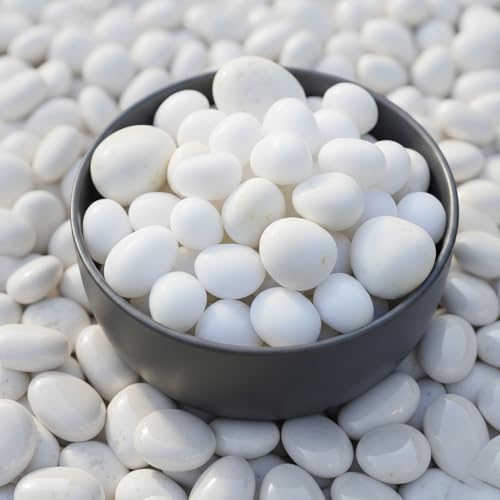 Schmick 1 Kg White Pebbles Stones for Plants Pots, Aquarium/Fish Tank, Garden, Decoration, Table and Home Decor, Vase Fillers (1 Kg, White Pebbles)