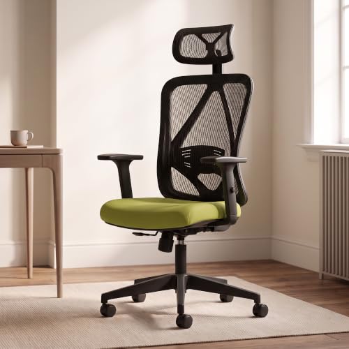 DROGO Ergonaut Ergonomic Office Chair for Work from Home | Computer Chair with 2D Headrest, Armrests & Adjustable Lumbar Support | Breathable Mesh with 120° Recline, 1-Year Warranty (Black & Green)