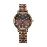 Fastrack Vyb Enigma Brown Dial Alloy Strap Watch for Women
