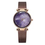 Daniel Klein Analog Purple Round Dial Rose Gold Case Purple Mesh Strap Stone-Studded Water-Resistant Wrist Watch for Women Girls, Ladies DK11873-4